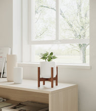 Load image into Gallery viewer, White stand:walnut