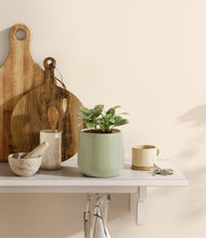 Load image into Gallery viewer, Turquoise