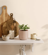 Load image into Gallery viewer, Sandy Pink