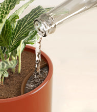 Load image into Gallery viewer, Glossy Red stand:all