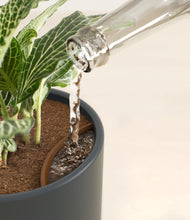 Load image into Gallery viewer, Iron Gray stand:all