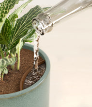 Load image into Gallery viewer, Reactive Aqua stand:all