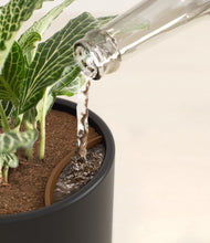 Load image into Gallery viewer, Stone Black stand:all