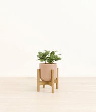 Load image into Gallery viewer, Glossy Pink stand:bamboo