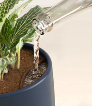 Load image into Gallery viewer, Deep Navy stand:all