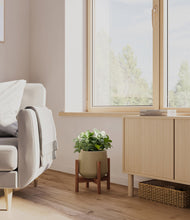 Load image into Gallery viewer, Olive stand:walnut