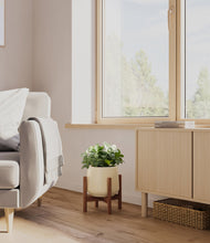 Load image into Gallery viewer, Almond Green stand:walnut