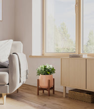 Load image into Gallery viewer, Calm Rose stand:walnut