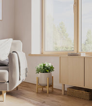 Load image into Gallery viewer, Eternal Gray stand:bamboo