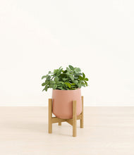 Load image into Gallery viewer, Calm Rose stand:bamboo