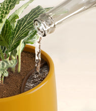 Load image into Gallery viewer, Mustard stand:all