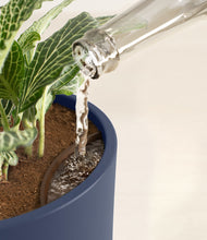 Load image into Gallery viewer, Deep Navy stand:all