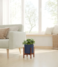 Load image into Gallery viewer, Deep Navy stand:walnut