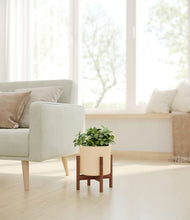 Load image into Gallery viewer, Cream stand:walnut