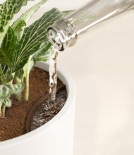 Load image into Gallery viewer, White stand:all