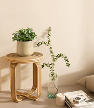 Load image into Gallery viewer, Almond Green