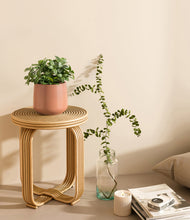 Load image into Gallery viewer, Calm Rose