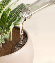 Load image into Gallery viewer, Desert Brown stand:all