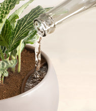 Load image into Gallery viewer, Winter Clouds stand:all