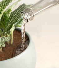 Load image into Gallery viewer, Deep Ocean stand:all