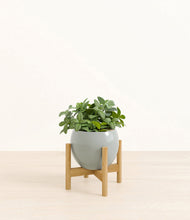 Load image into Gallery viewer, Deep Ocean stand:bamboo