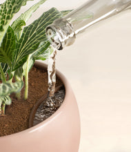 Load image into Gallery viewer, Calm Rose stand:all