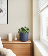 Load image into Gallery viewer, Deep Navy