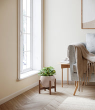 Load image into Gallery viewer, Desert Brown stand:walnut