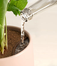 Load image into Gallery viewer, Gentle Pink stand:all