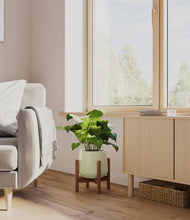 Load image into Gallery viewer, Turquoise stand:walnut