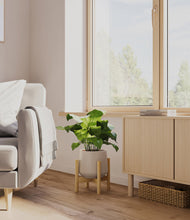 Load image into Gallery viewer, Eternal Gray stand:bamboo