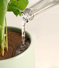 Load image into Gallery viewer, Turquoise stand:all