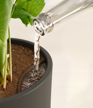 Load image into Gallery viewer, Dark Olive