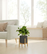 Load image into Gallery viewer, Dark Olive stand:bamboo