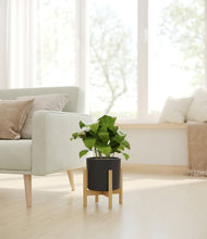 Load image into Gallery viewer, Black stand:bamboo