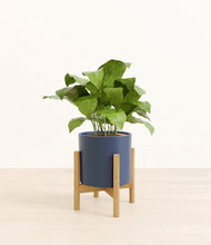 Load image into Gallery viewer, Deep Navy stand:bamboo