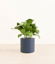 Load image into Gallery viewer, Deep Navy