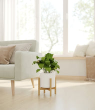 Load image into Gallery viewer, White stand:bamboo