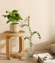 Load image into Gallery viewer, Almond Green