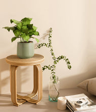 Load image into Gallery viewer, Turquoise