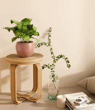 Load image into Gallery viewer, Calm Rose