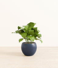 Load image into Gallery viewer, Deep Navy