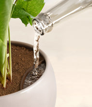 Load image into Gallery viewer, Winter Clouds stand:all