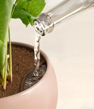 Load image into Gallery viewer, Calm Rose stand:all