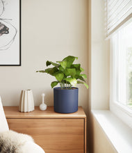 Load image into Gallery viewer, Deep Navy