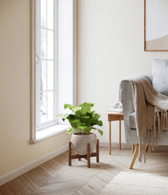 Load image into Gallery viewer, Winter Clouds stand:walnut