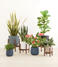 Load image into Gallery viewer, New Beginnings