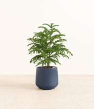 Load image into Gallery viewer, Deep Navy*****Profile