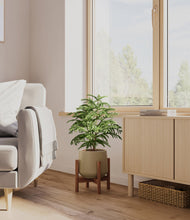 Load image into Gallery viewer, Olive stand:walnut