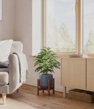 Load image into Gallery viewer, Deep Navy stand:walnut